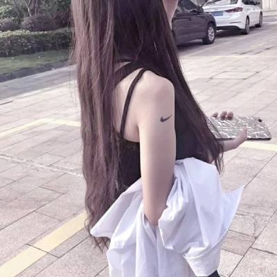 诸葛先生留步bt版下载